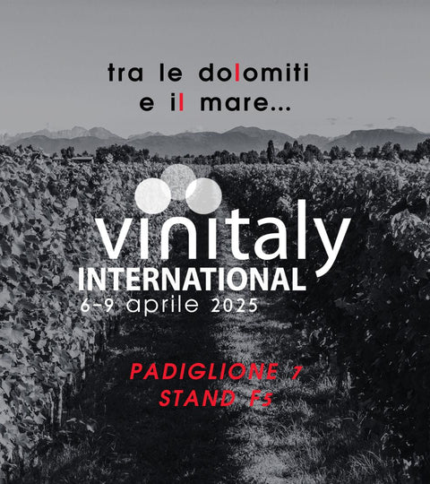 6-9 Aprile: i vini Barollo a Vinitaly!