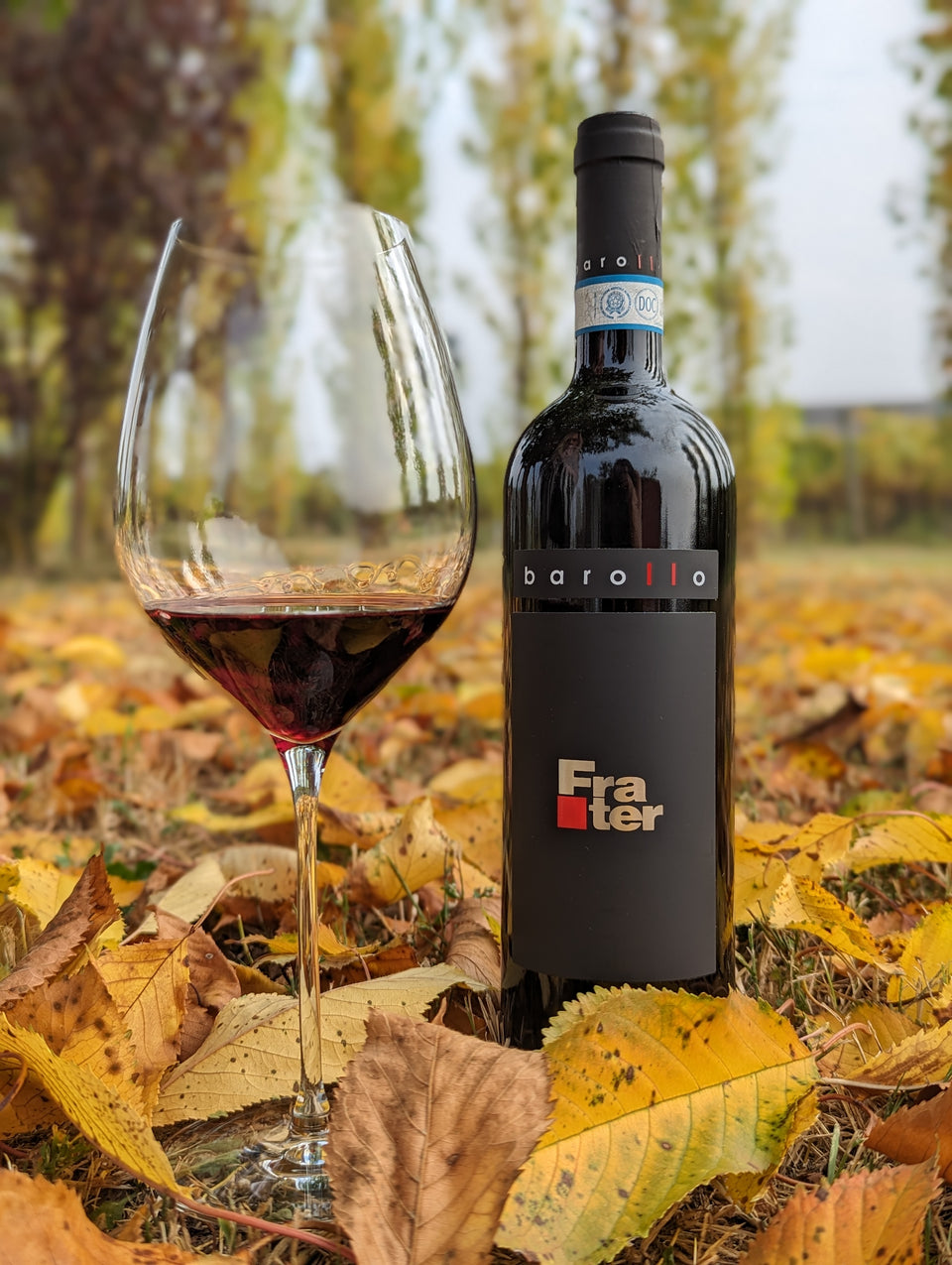 FRATER ROSSO - 100% Merlot